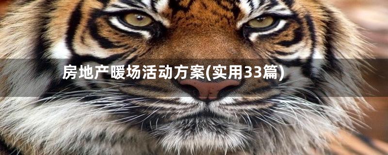 房地产暖场活动方案(实用33篇)