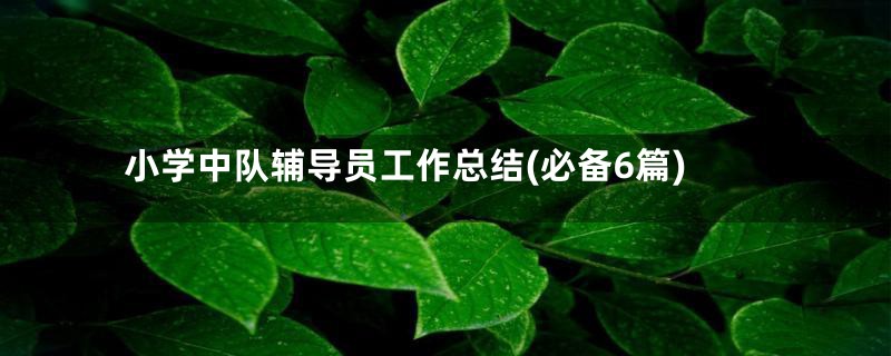 小学中队辅导员工作总结(必备6篇)