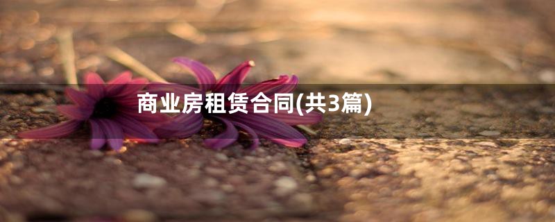 商业房租赁合同(共3篇)