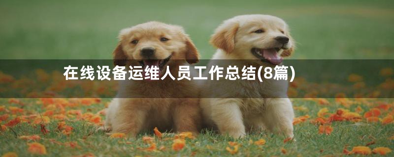 在线设备运维人员工作总结(8篇)