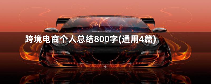跨境电商个人总结800字(通用4篇)