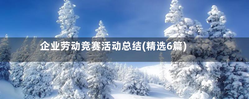 企业劳动竞赛活动总结(精选6篇)