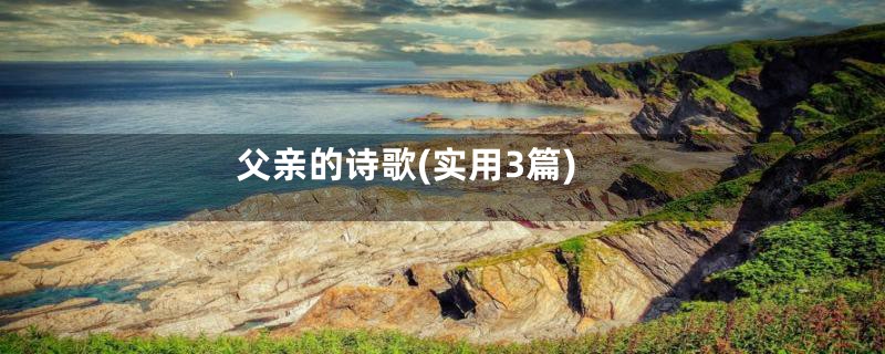 父亲的诗歌(实用3篇)