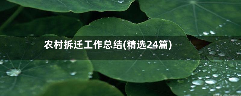 农村拆迁工作总结(精选24篇)