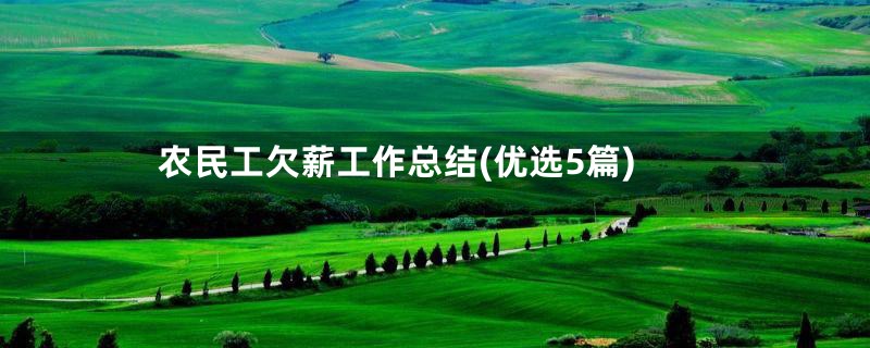 农民工欠薪工作总结(优选5篇)