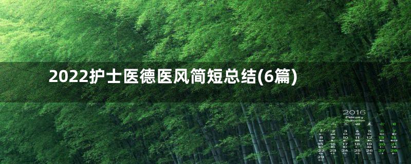 2022护士医德医风简短总结(6篇)