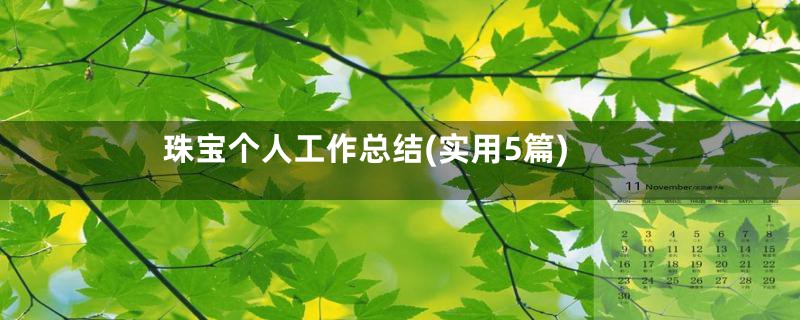 珠宝个人工作总结(实用5篇)