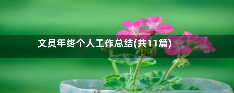 文员年终个人工作总结(共11篇)