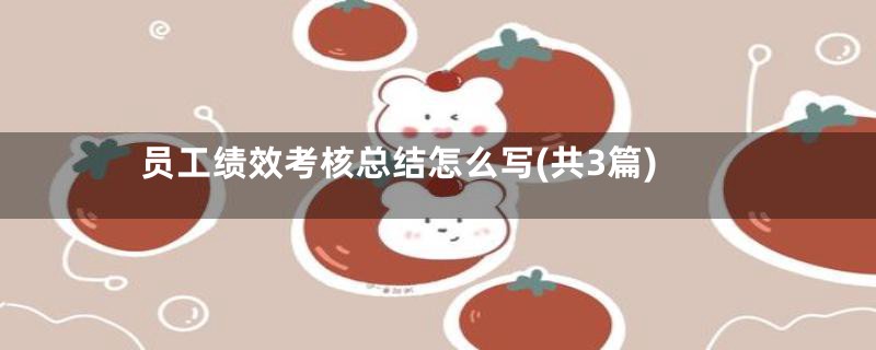 员工绩效考核总结怎么写(共3篇)