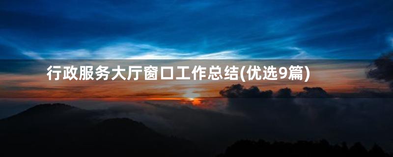 行政服务大厅窗口工作总结(优选9篇)