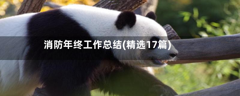 消防年终工作总结(精选17篇)