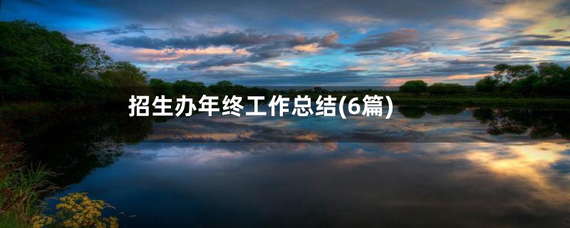 招生办年终工作总结(6篇)