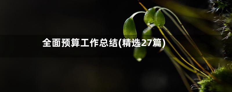 全面预算工作总结(精选27篇)