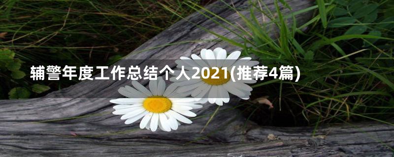 辅警年度工作总结个人2021(推荐4篇)