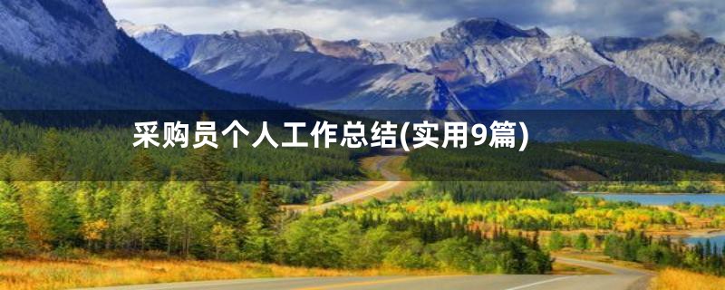 采购员个人工作总结(实用9篇)