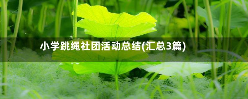 小学跳绳社团活动总结(汇总3篇)