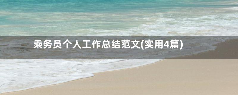 乘务员个人工作总结范文(实用4篇)