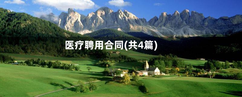 医疗聘用合同(共4篇)