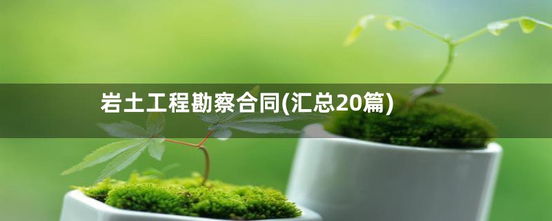 岩土工程勘察合同(汇总20篇)