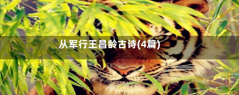 从军行王昌龄古诗(4篇)