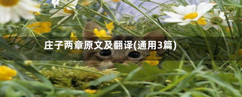 庄子两章原文及翻译(通用3篇)