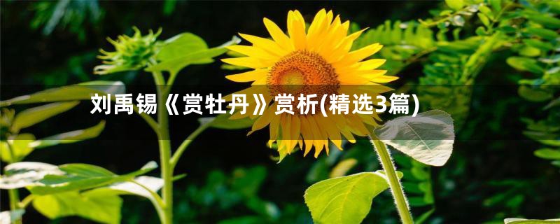 刘禹锡《赏牡丹》赏析(精选3篇)