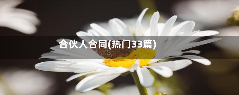 合伙人合同(热门33篇)