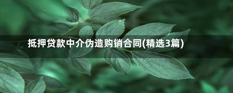 抵押贷款中介伪造购销合同(精选3篇)