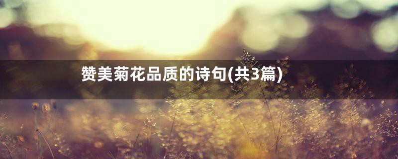 赞美菊花品质的诗句(共3篇)