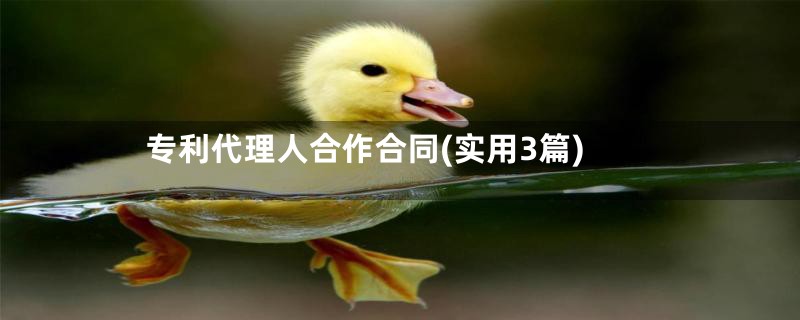 专利代理人合作合同(实用3篇)