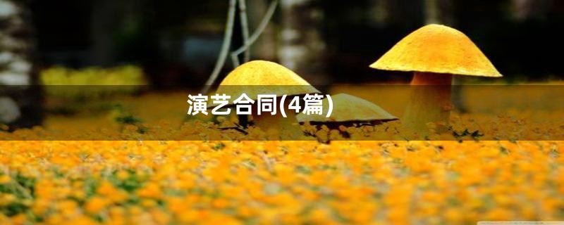 演艺合同(4篇)