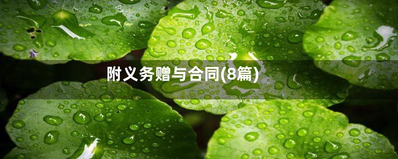 附义务赠与合同(8篇)