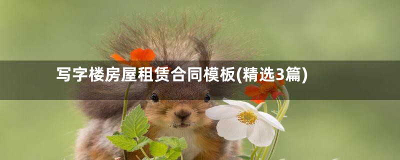写字楼房屋租赁合同模板(精选3篇)