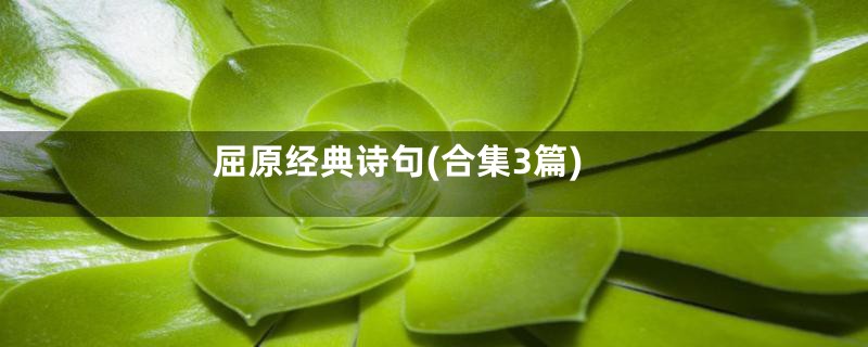 屈原经典诗句(合集3篇)
