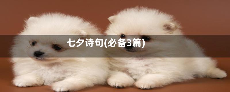 七夕诗句(必备3篇)