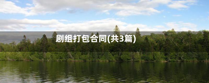 剧组打包合同(共3篇)
