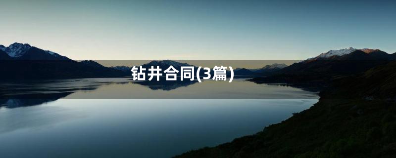 钻井合同(3篇)