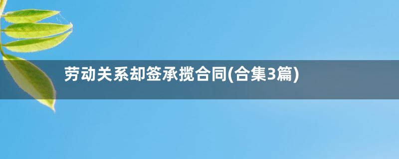劳动关系却签承揽合同(合集3篇)