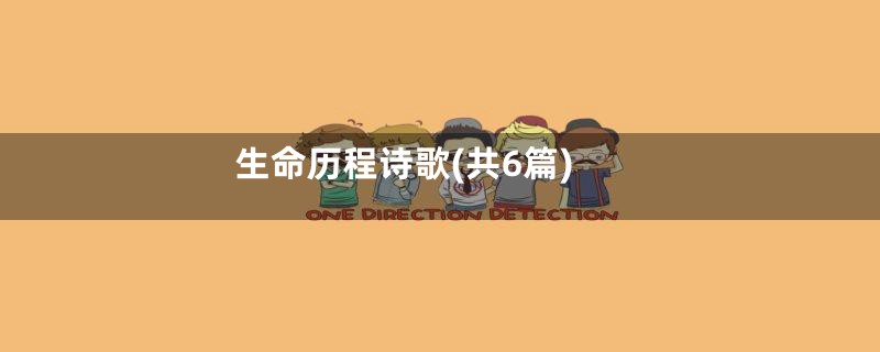 生命历程诗歌(共6篇)