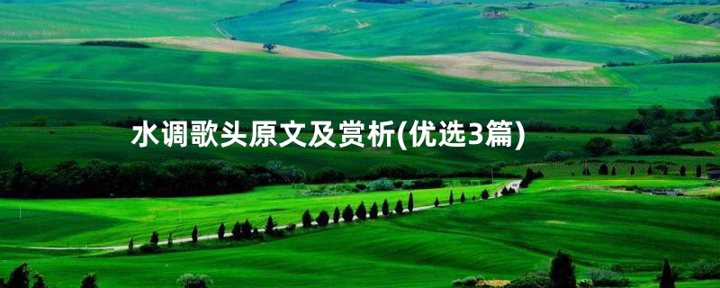 水调歌头原文及赏析(优选3篇)