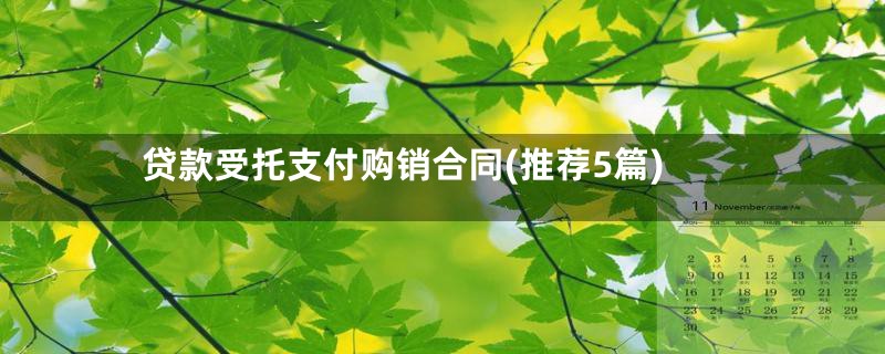 贷款受托支付购销合同(推荐5篇)