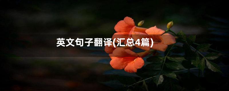 英文句子翻译(汇总4篇)