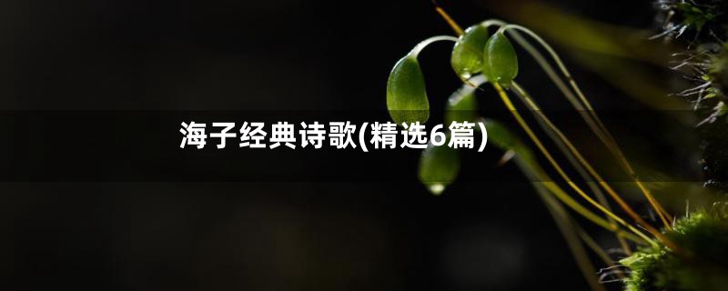 海子经典诗歌(精选6篇)