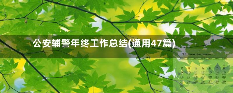 公安辅警年终工作总结(通用47篇)