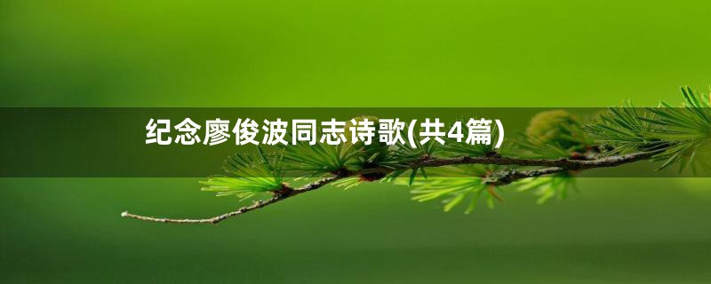 纪念廖俊波同志诗歌(共4篇)