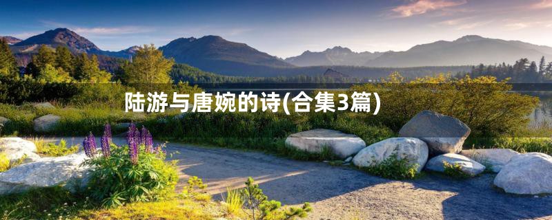 陆游与唐婉的诗(合集3篇)