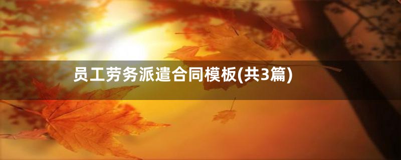 员工劳务派遣合同模板(共3篇)