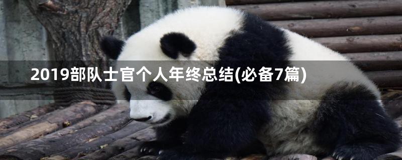 2019部队士官个人年终总结(必备7篇)