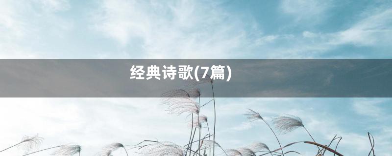 经典诗歌(7篇)