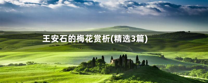 王安石的梅花赏析(精选3篇)
